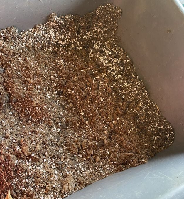 DIY Organic Soil Mix