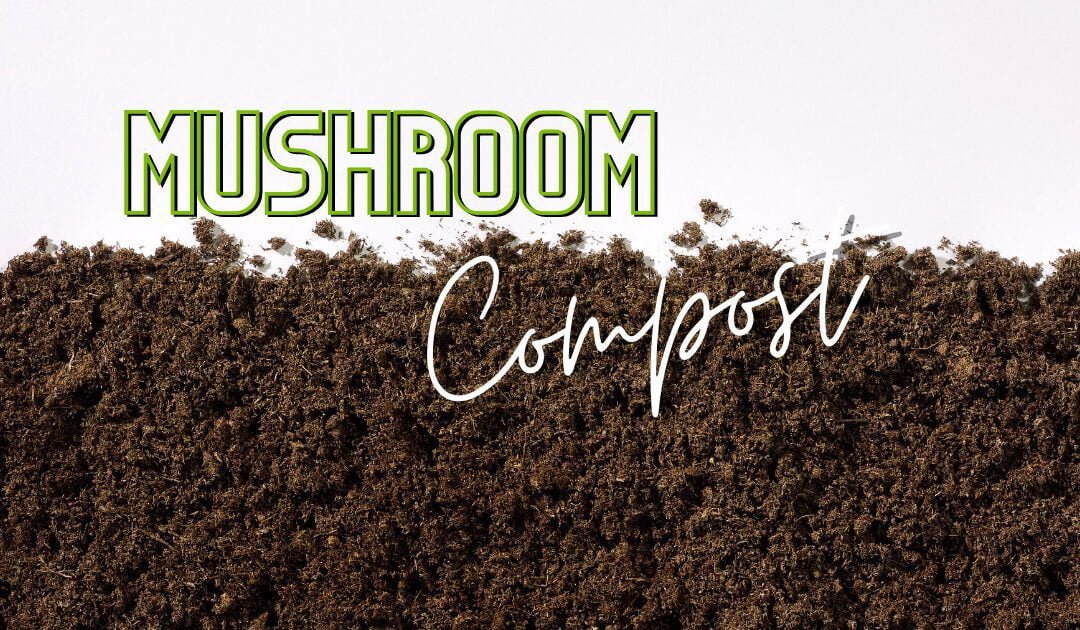 Harnessing The Power Of Mushroom Compost In Your Organic Garden