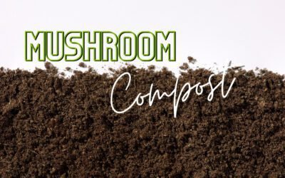 Harnessing The Power Of Mushroom Compost In Your Organic Garden