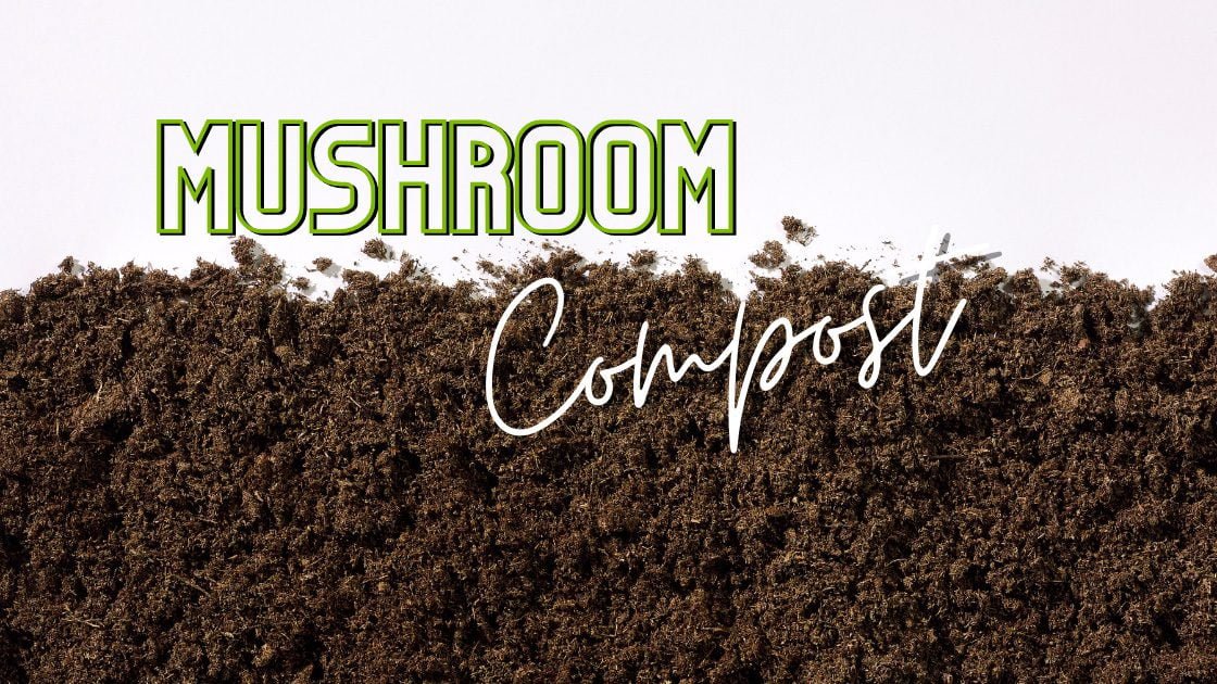 mushroom compost