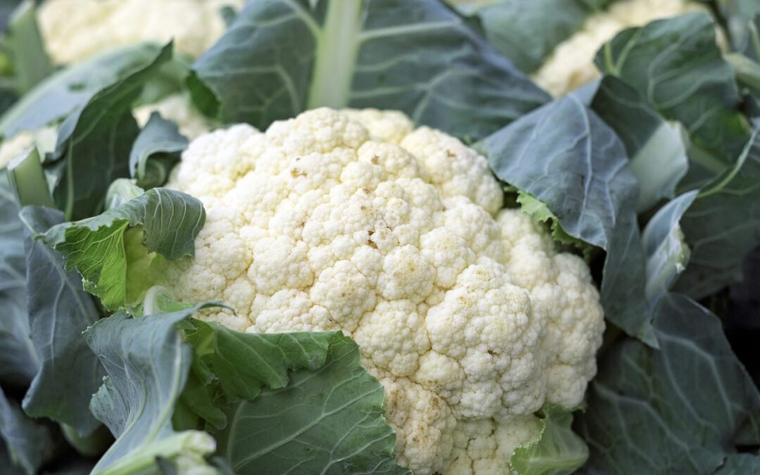 Grow Guide – Cauliflower