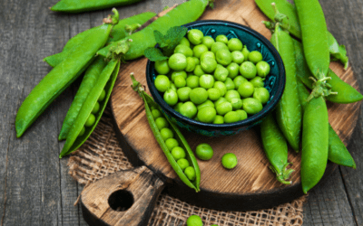 Grow Guide – Peas