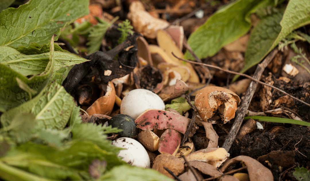 Reduce Your Waste By Composting