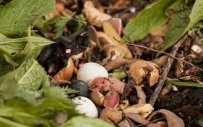 Reduce Your Waste By Composting