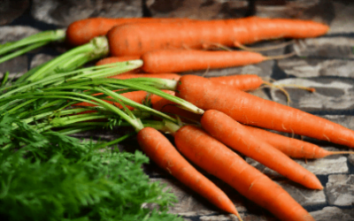 Grow Guide – Carrots