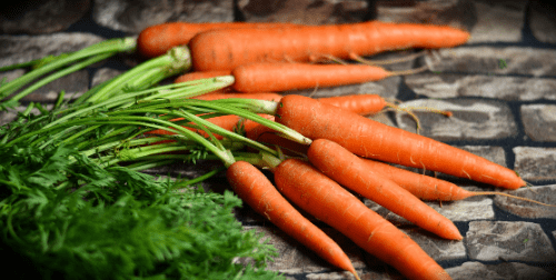 Grow Guide – Carrots