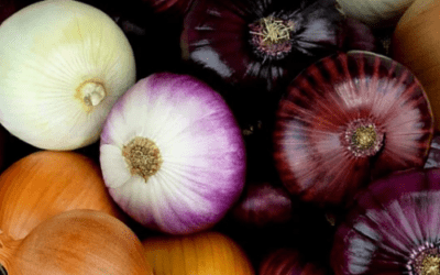 Grow Guide – Onions