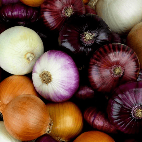 Grow Guide – Onions